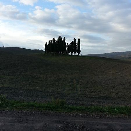 Passaggio In Val D' Orcia Apartment Torrenieri ภายนอก รูปภาพ