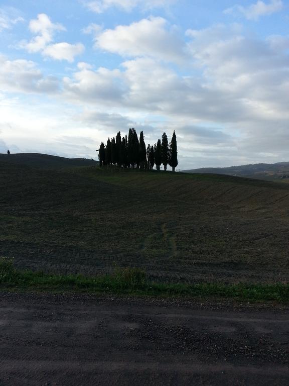 Passaggio In Val D' Orcia Apartment Torrenieri ภายนอก รูปภาพ
